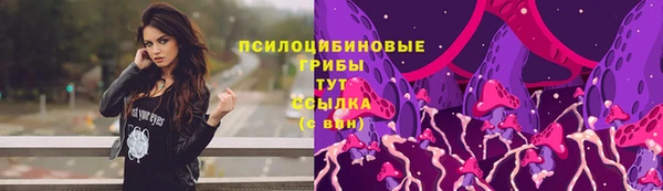 прущая мука Алзамай
