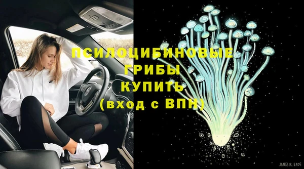 прущая мука Алзамай