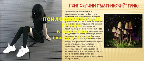 первитин Алексеевка