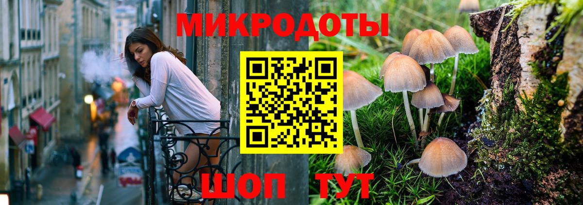 Галлюциногенные грибы мухоморы  Псилоцибиновые грибы Psilocybine cubensis  Арсеньев  что такое   Вход с VPN 